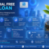collateral free msme loan