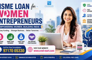 MSME Loan for Women Entrepreneurs in India government schemes for business funding
